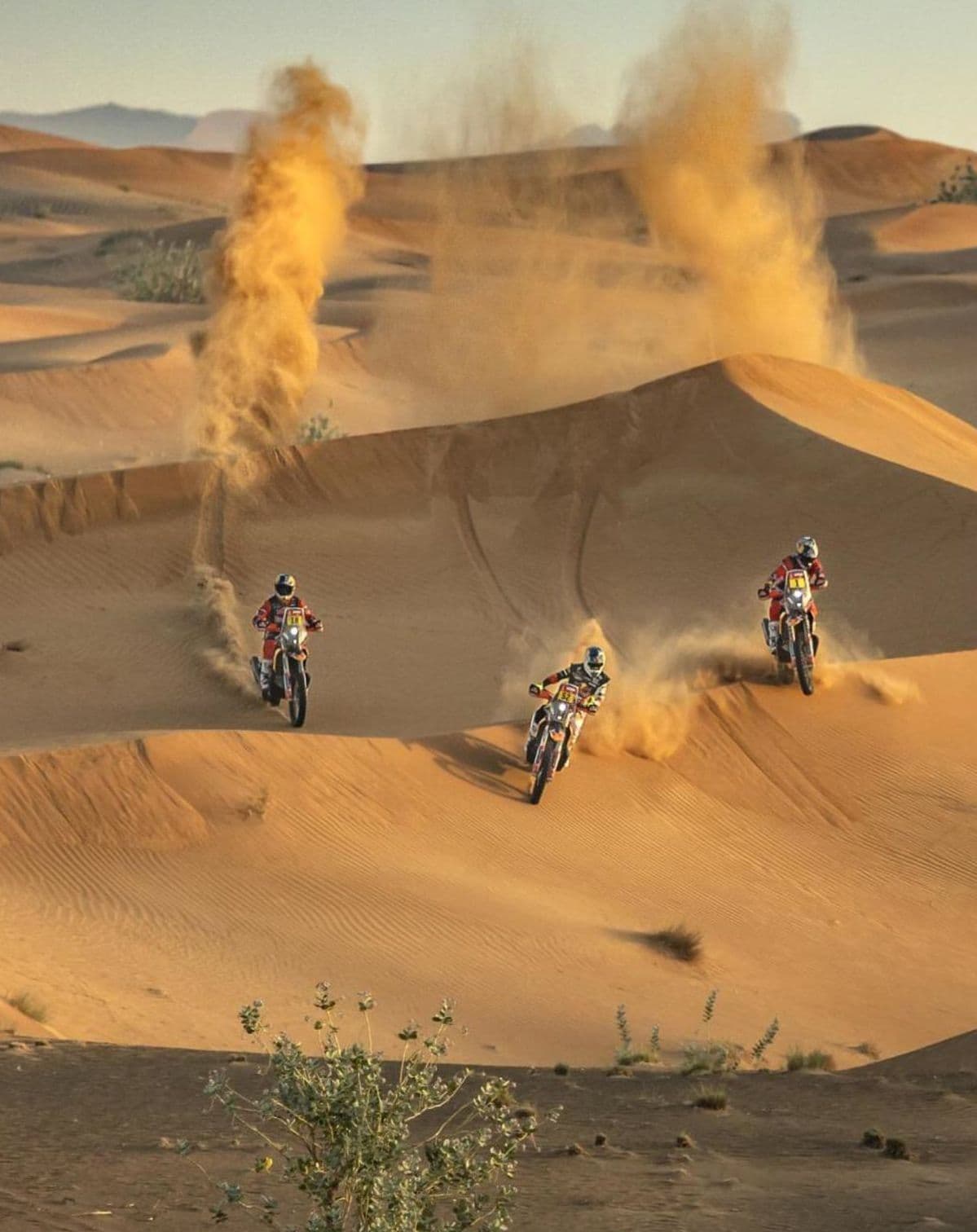 Zagora Desert Adventure — 2 Days
