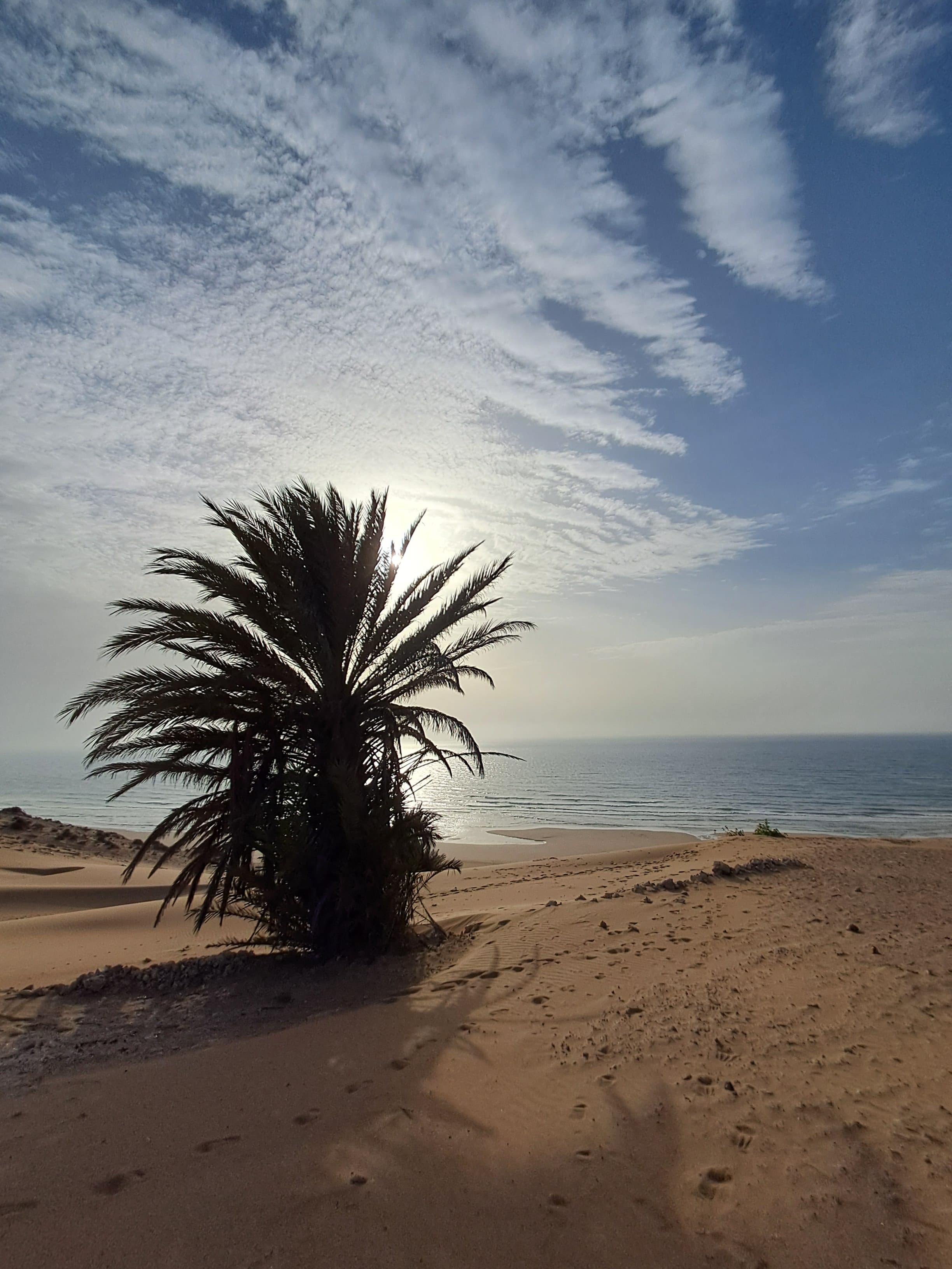 West Coast Loop — Atlantic Escape